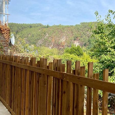 Magnifique Appartement 2/4 Pers - Le Saint Leo Saint-Léonard-des-Bois Exterior foto